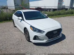 5NPE24AF8KH793810 2019 HYUNDAI SONATA