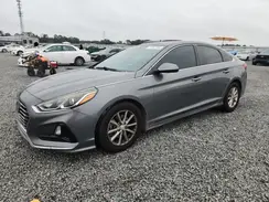 5NPE24AF8KH794441 2019 HYUNDAI SONATA
