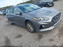 5NPE24AF8KH800304 2019 HYUNDAI SONATA