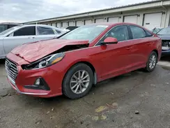 5NPE24AF8KH800691 2019 HYUNDAI SONATA