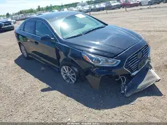 5NPE24AF8KH804871 2019 HYUNDAI SONATA