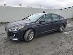 5NPE24AF8KH806006 2019 HYUNDAI SONATA