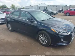 5NPE24AF8KH806488 2019 HYUNDAI SONATA