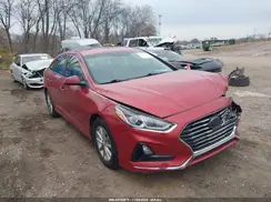 5NPE24AF8KH806734 2019 HYUNDAI SONATA