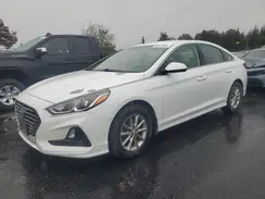 5NPE24AF8KH806877 2019 HYUNDAI SONATA