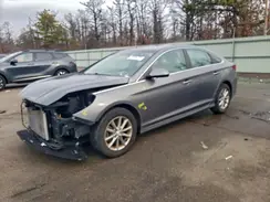 5NPE24AF8KH806975 2019 HYUNDAI SONATA