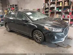 5NPE24AF8KH808001 2019 HYUNDAI SONATA