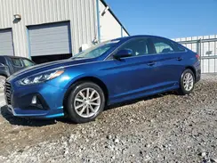 5NPE24AF8KH815563 2019 HYUNDAI SONATA