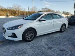 5NPE24AF8KH815613 2019 HYUNDAI SONATA