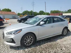 5NPE24AF8KH816549 2019 HYUNDAI SONATA