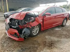 5NPE24AF8KH816888 2019 HYUNDAI SONATA