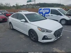 5NPE24AF8KH817698 2019 HYUNDAI SONATA