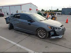 5NPE24AF8KH819063 2019 HYUNDAI SONATA