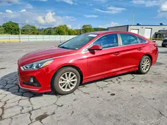 5NPE24AF8KH820357 2019 HYUNDAI SONATA