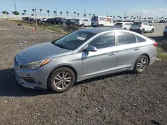 5NPE24AF9GH297437 2016 HYUNDAI SONATA