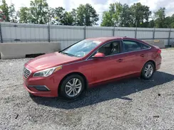 5NPE24AF9GH297812 2016 HYUNDAI SONATA