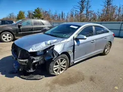 5NPE24AF9GH308291 2016 HYUNDAI SONATA
