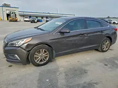 5NPE24AF9GH308596 2016 HYUNDAI SONATA