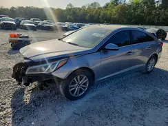 5NPE24AF9GH310591 2016 HYUNDAI SONATA