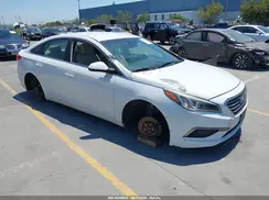 5NPE24AF9GH316729 2016 HYUNDAI SONATA