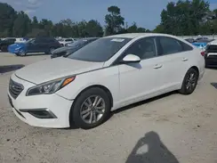 5NPE24AF9GH318917 2016 HYUNDAI SONATA