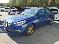5NPE24AF9GH319887 2016 HYUNDAI SONATA