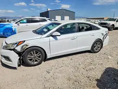 5NPE24AF9GH322692 2016 HYUNDAI SONATA