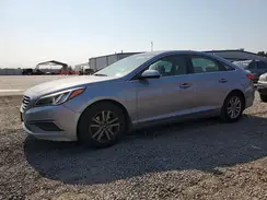 5NPE24AF9GH333594 2016 HYUNDAI SONATA