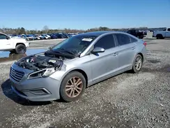 5NPE24AF9GH334003 2016 HYUNDAI SONATA