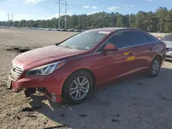 5NPE24AF9GH339413 2016 HYUNDAI SONATA