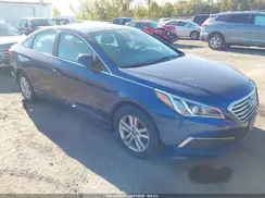 5NPE24AF9GH339556 2016 HYUNDAI SONATA