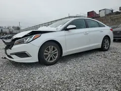 5NPE24AF9GH341453 2016 HYUNDAI SONATA