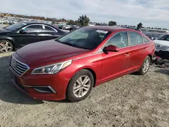5NPE24AF9GH342912 2016 HYUNDAI SONATA