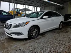5NPE24AF9GH351576 2016 HYUNDAI SONATA