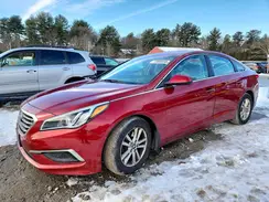 5NPE24AF9GH354493 2016 HYUNDAI SONATA
