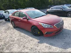 5NPE24AF9GH356325 2016 HYUNDAI SONATA