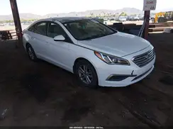 5NPE24AF9GH356339 2016 HYUNDAI SONATA