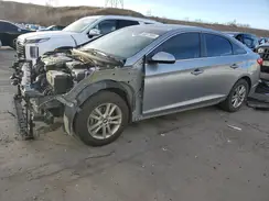 5NPE24AF9GH362237 2016 HYUNDAI SONATA