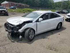 5NPE24AF9GH377501 2016 HYUNDAI SONATA