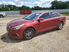 5NPE24AF9GH381807 2016 HYUNDAI SONATA