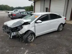 5NPE24AF9GH386313 2016 HYUNDAI SONATA