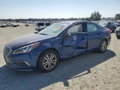 5NPE24AF9GH393794 2016 HYUNDAI SONATA