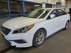 5NPE24AF9GH396520 2016 HYUNDAI SONATA