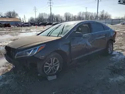 5NPE24AF9GH407337 2016 HYUNDAI SONATA