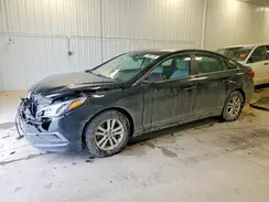 5NPE24AF9GH412229 2016 HYUNDAI SONATA