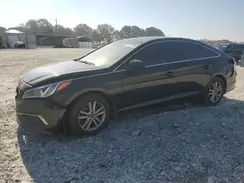 5NPE24AF9GH423098 2016 HYUNDAI SONATA