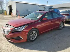 5NPE24AF9GH424462 2016 HYUNDAI SONATA