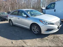 5NPE24AF9GH429810 2016 HYUNDAI SONATA