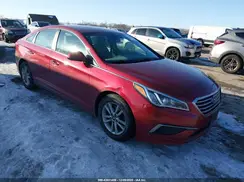 5NPE24AF9GH430018 2016 HYUNDAI SONATA