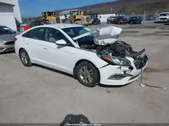 5NPE24AF9HH438492 2017 HYUNDAI SONATA